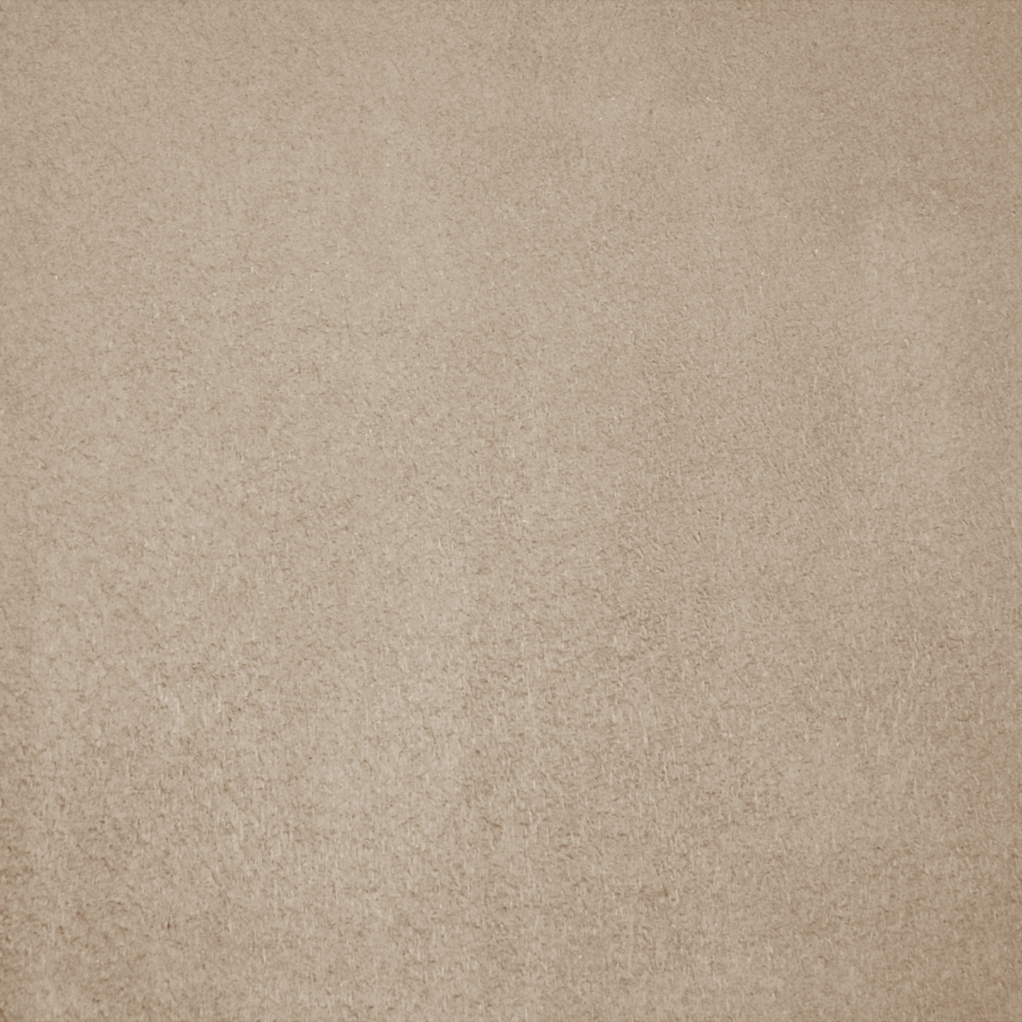 Velours taupe