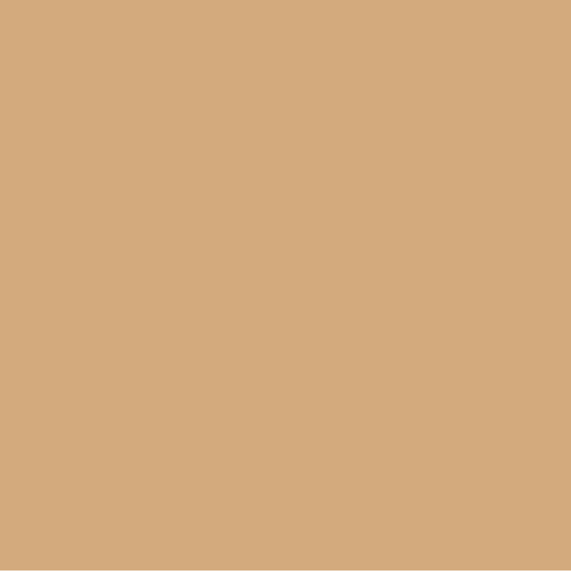 Camel Beige Smooth Matte
