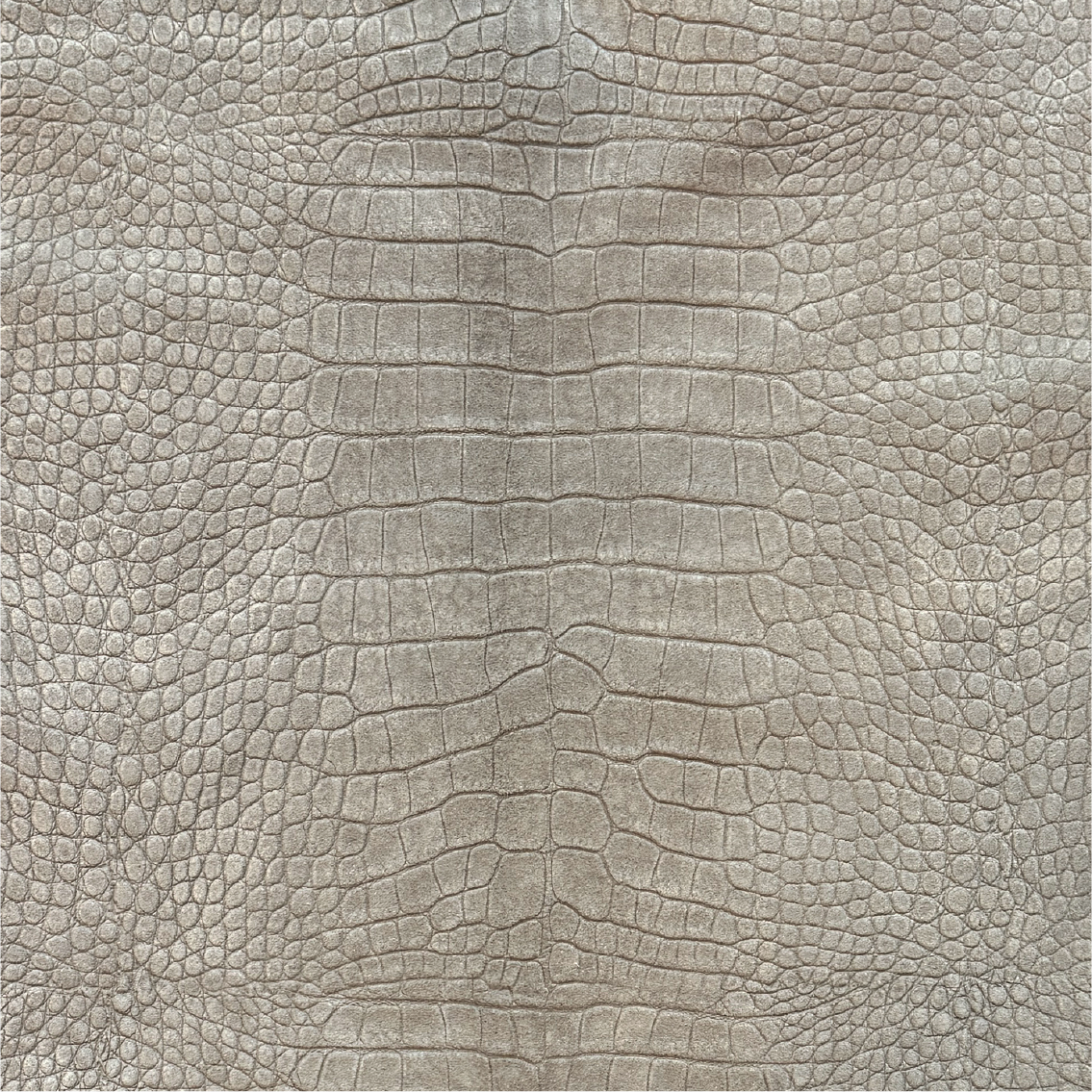 Taupe Gams Velours Croco