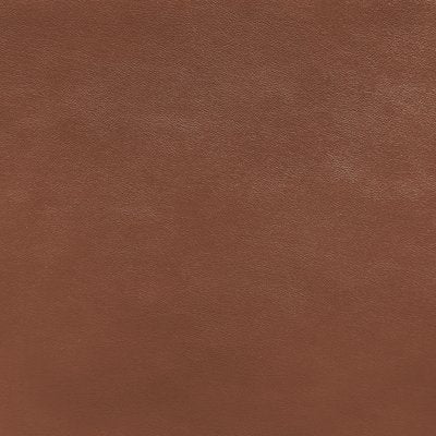 Tortoise Shell Smooth