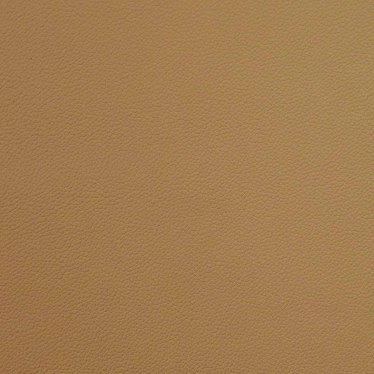 Leather belt short Mini Grain Cappuccino