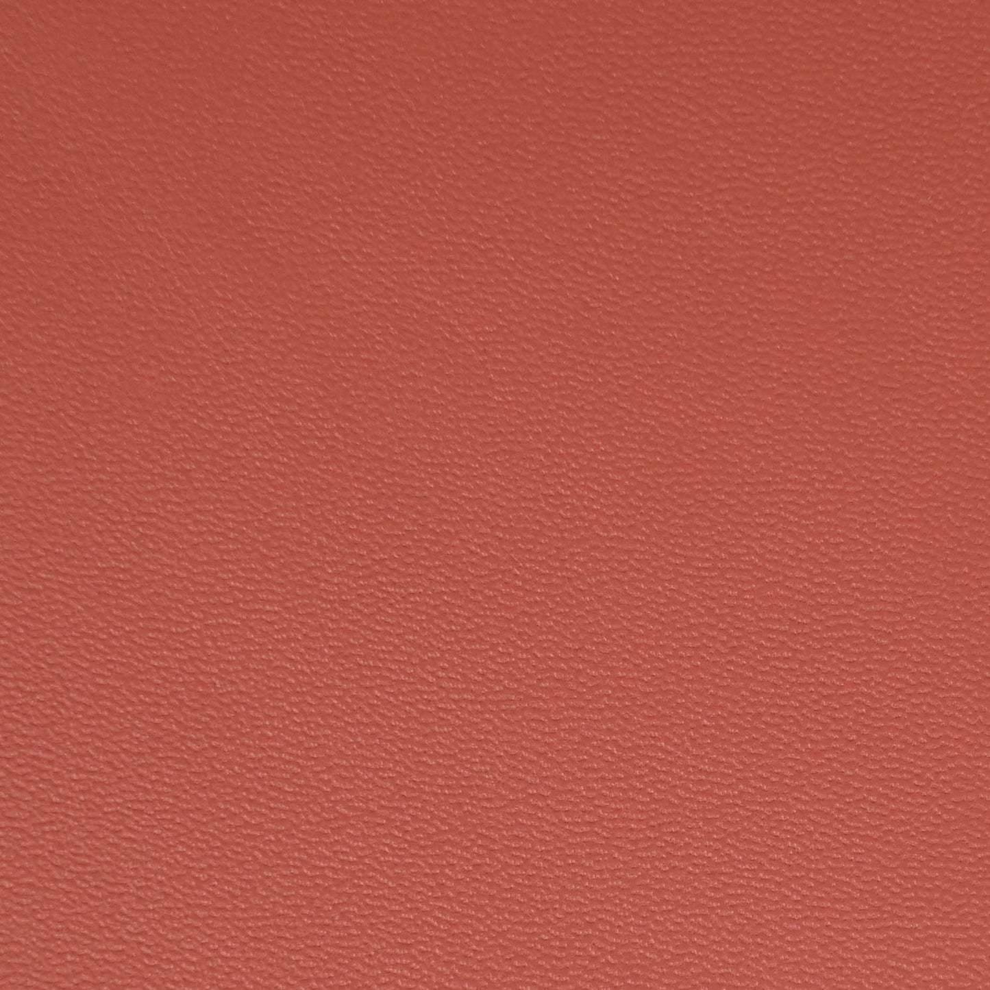 Crevette rouge