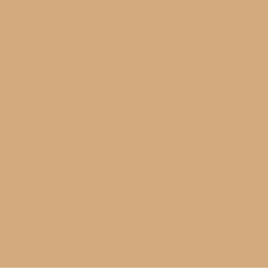 Camel Beige Smooth Matte