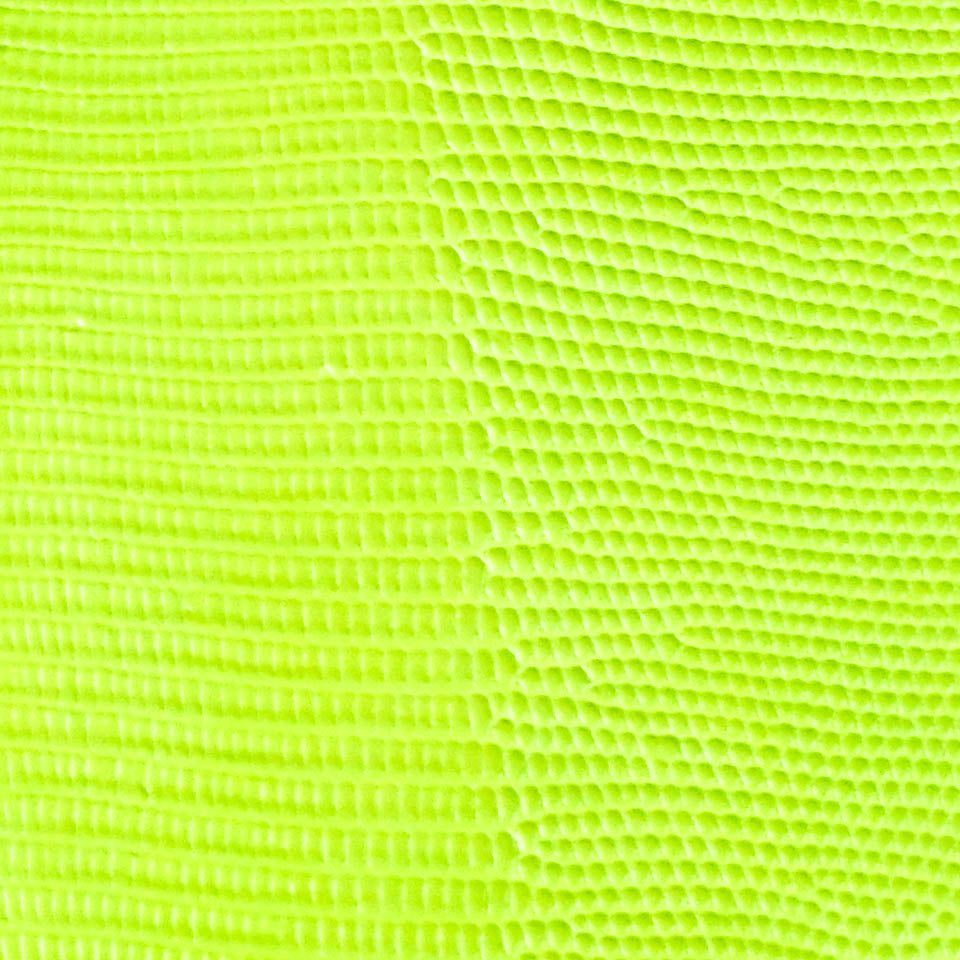 Lizard Lime Green