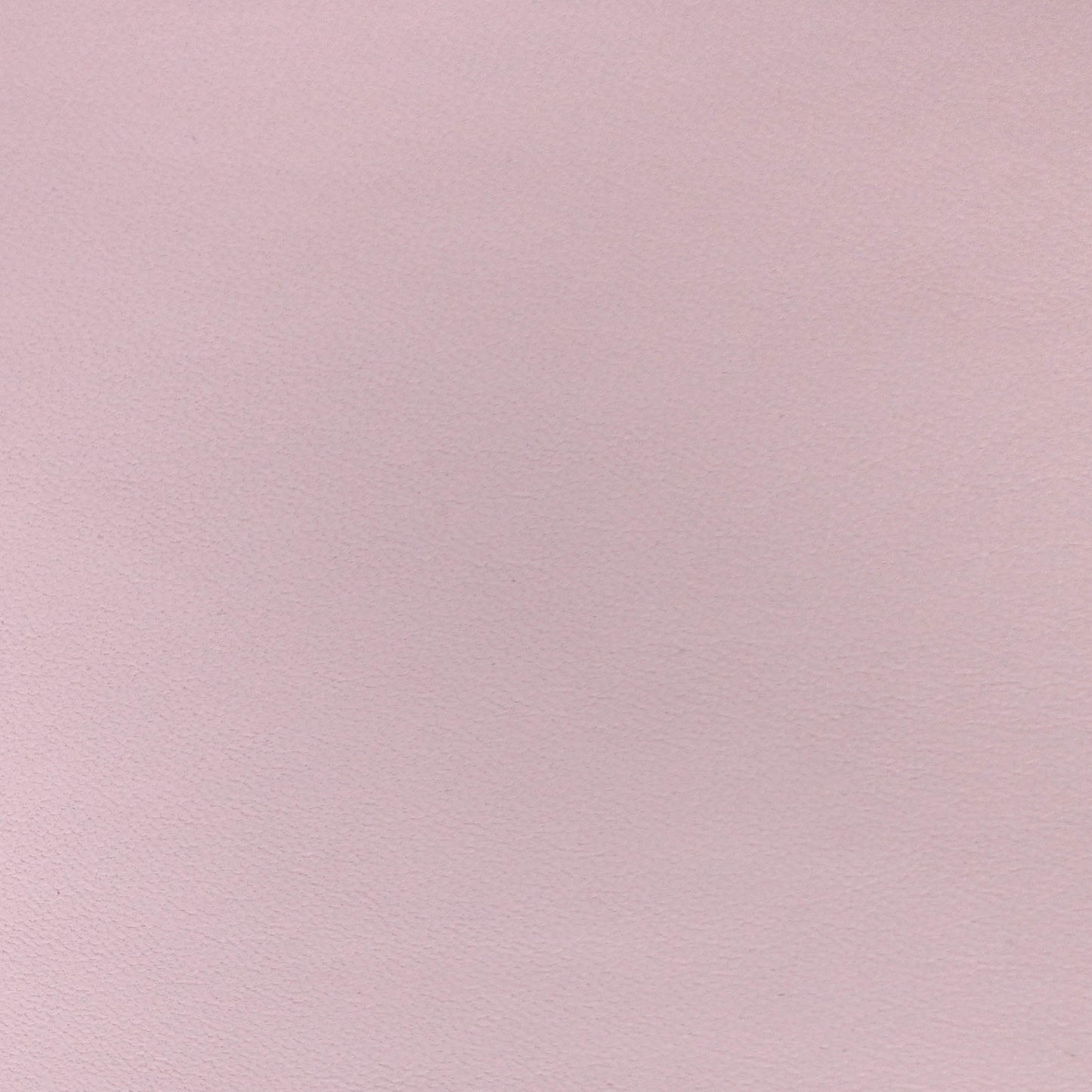 Soft Rose