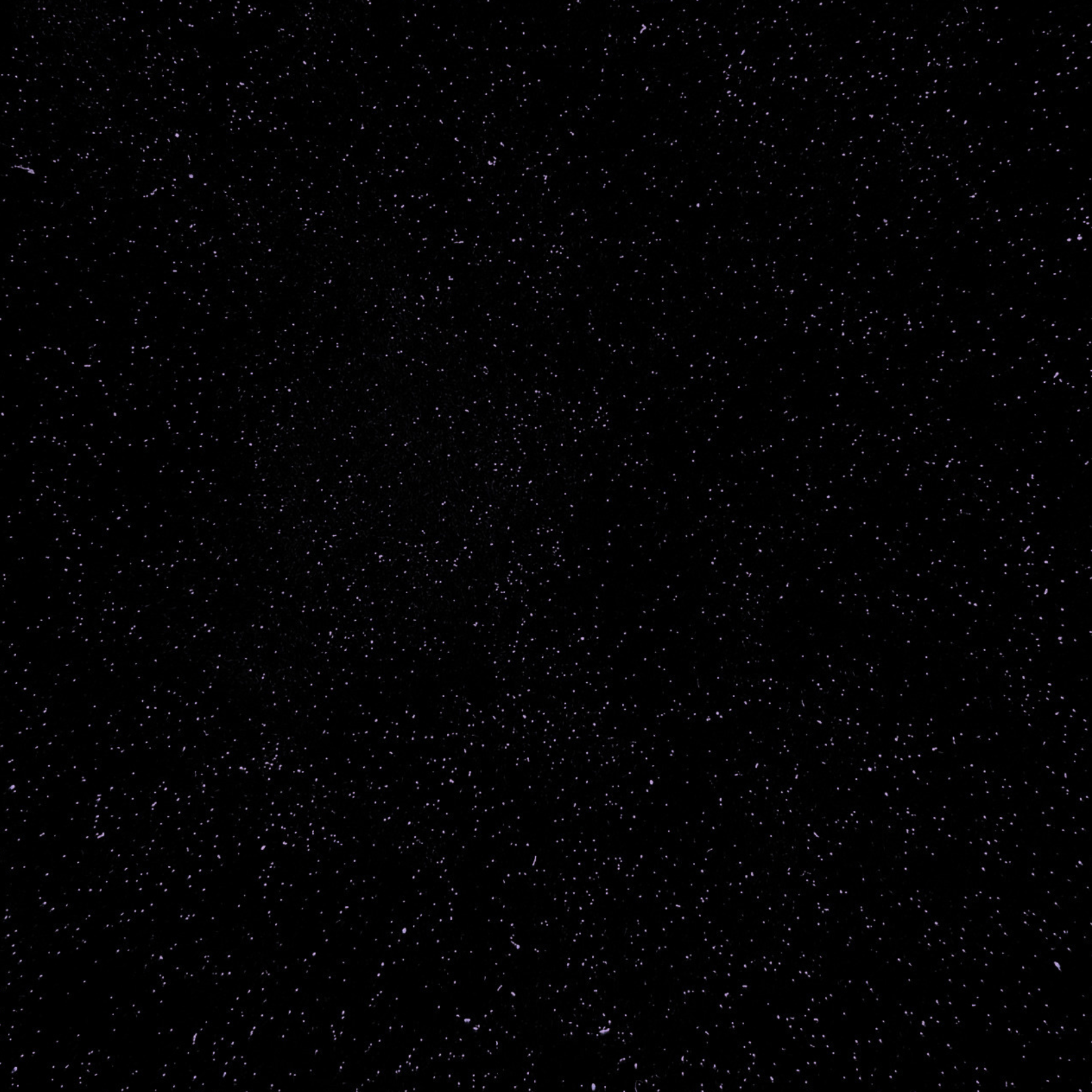 Black Amethyst Leder Swatch